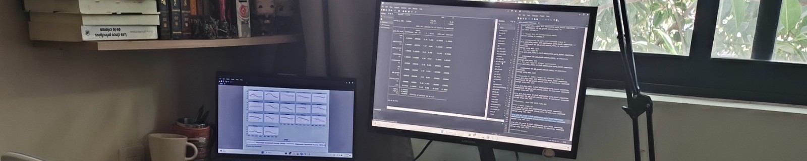Workspace with two computer screens